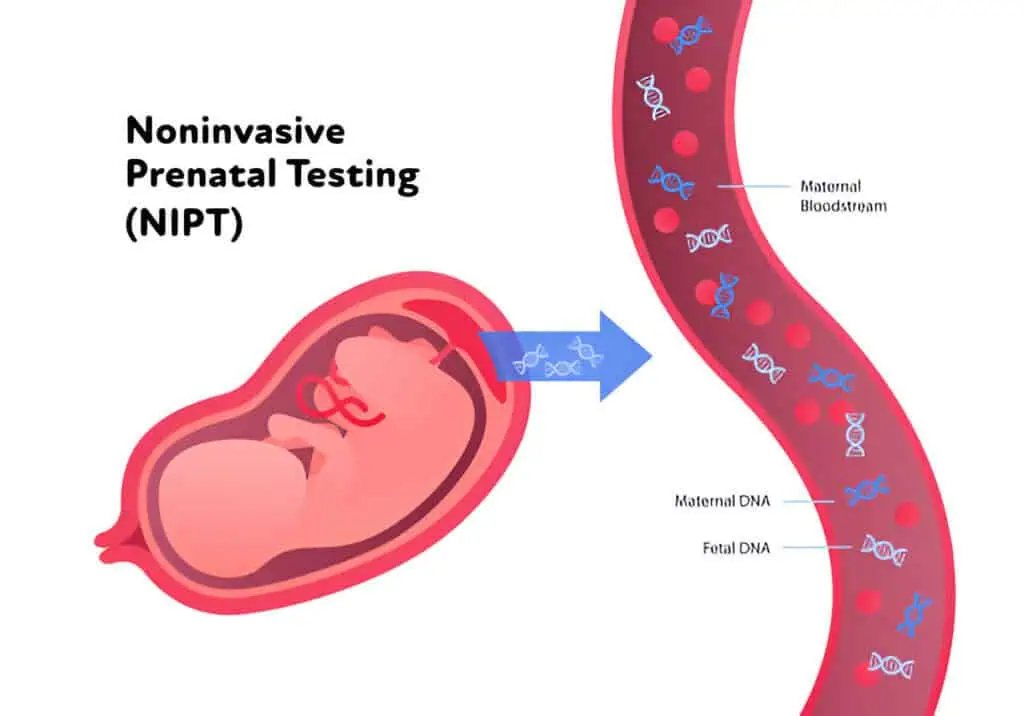 Advancements in Prenatal Testing and Genetic Screening