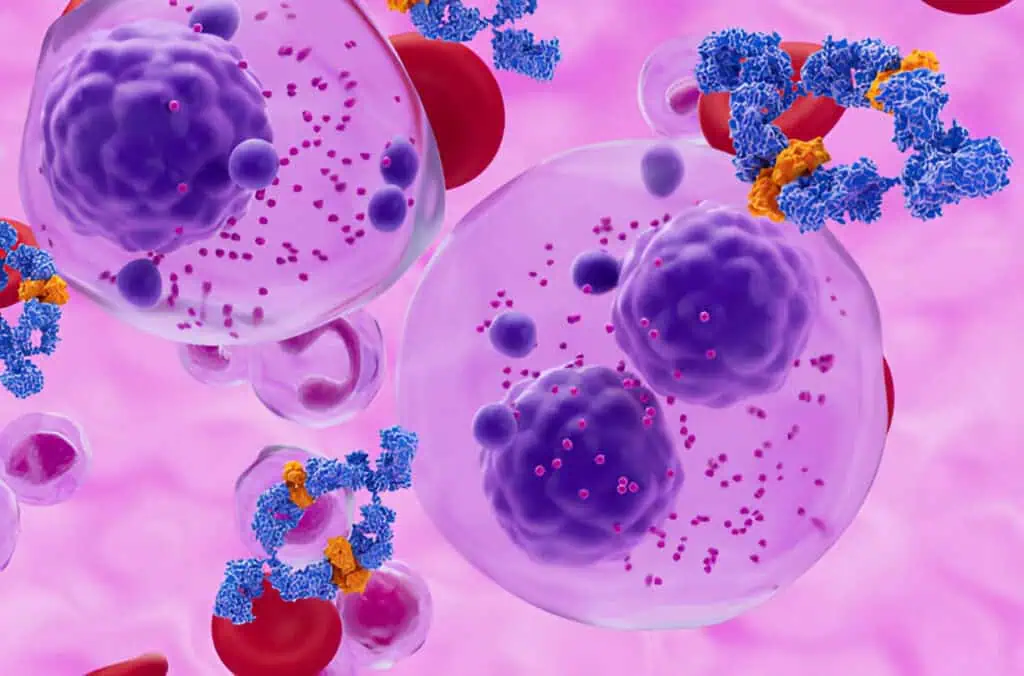 The Pathophysiology of Multiple Myeloma