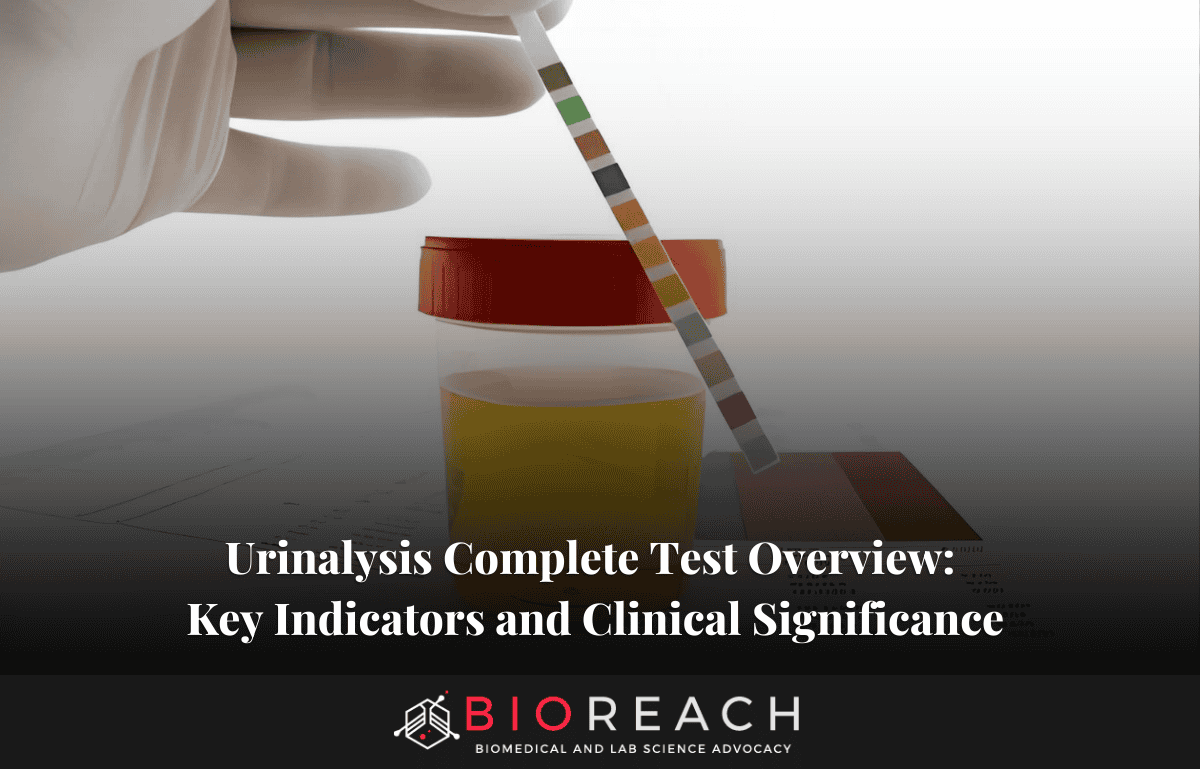 Urinalysis Complete Test Overview: Key Indicators and Clinical Significance