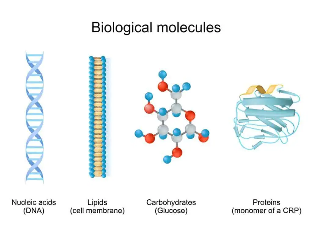 biomarkers in disease diagnosis
