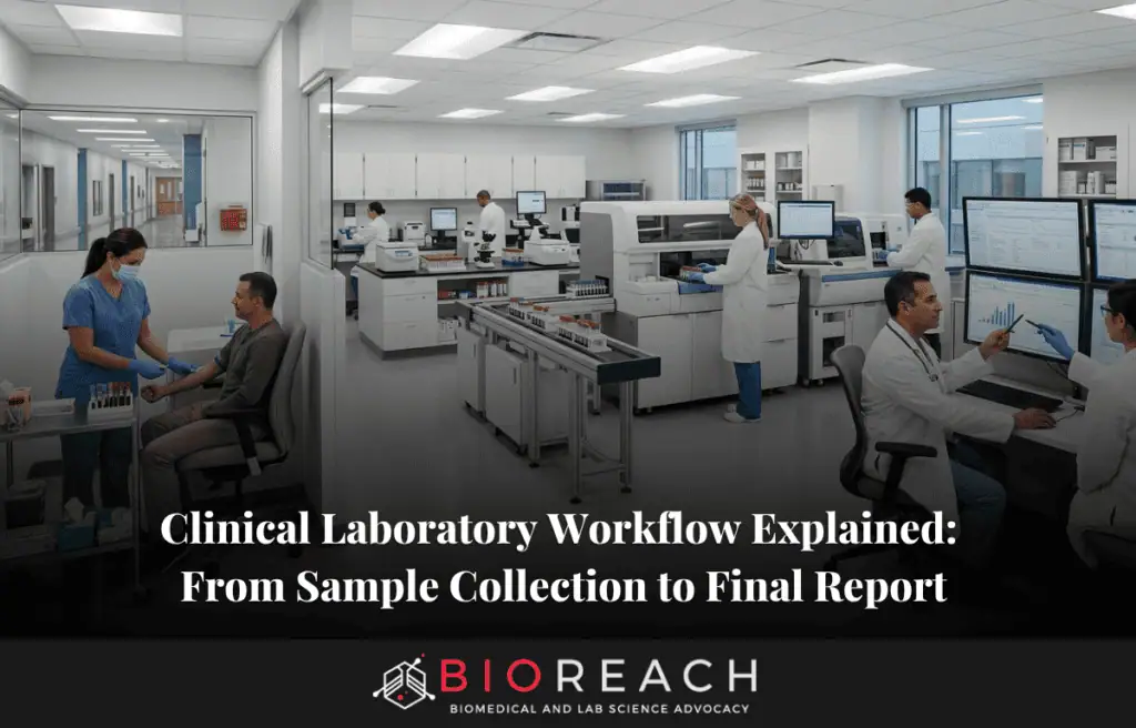 clinical laboratory workflow explained