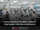 clinical laboratory workflow explained