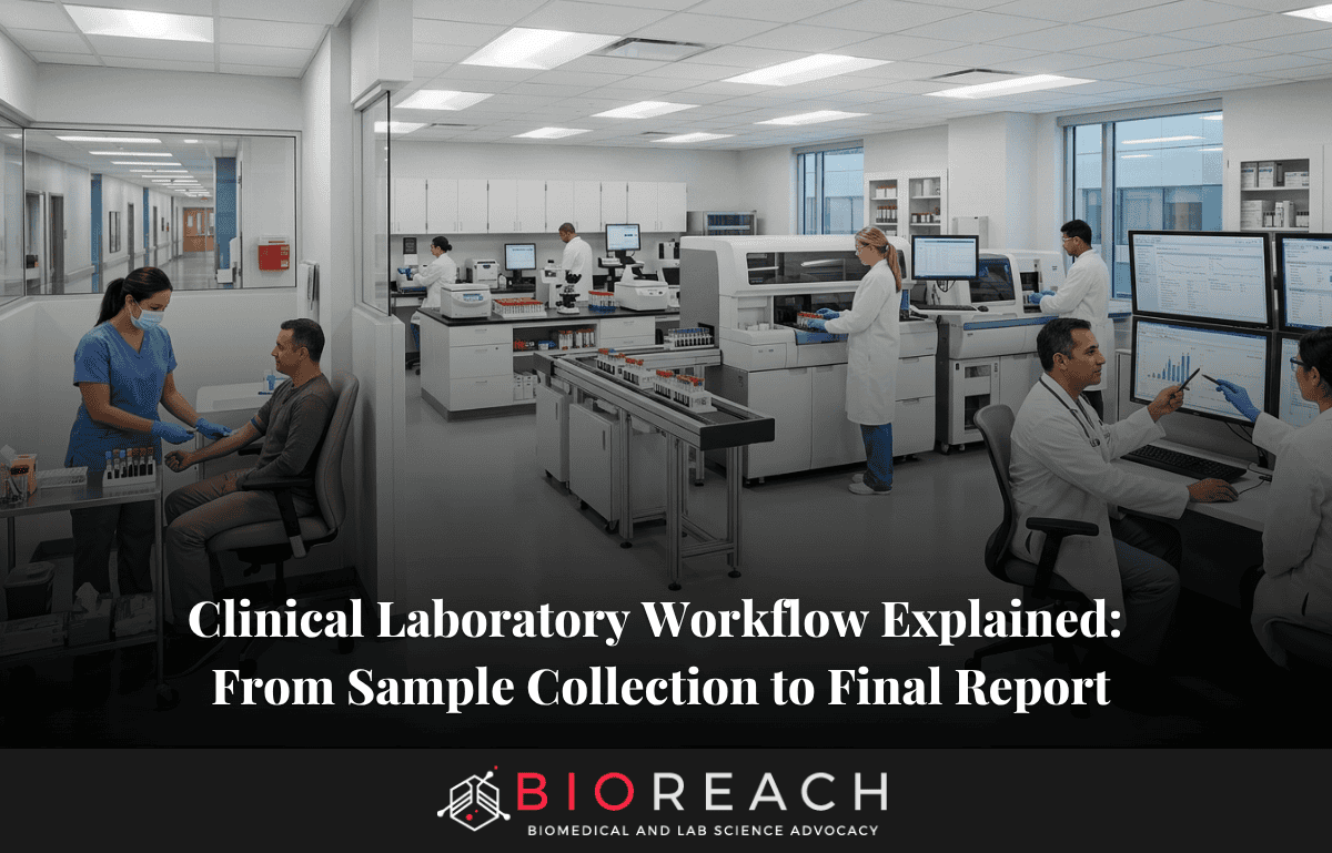 clinical laboratory workflow explained