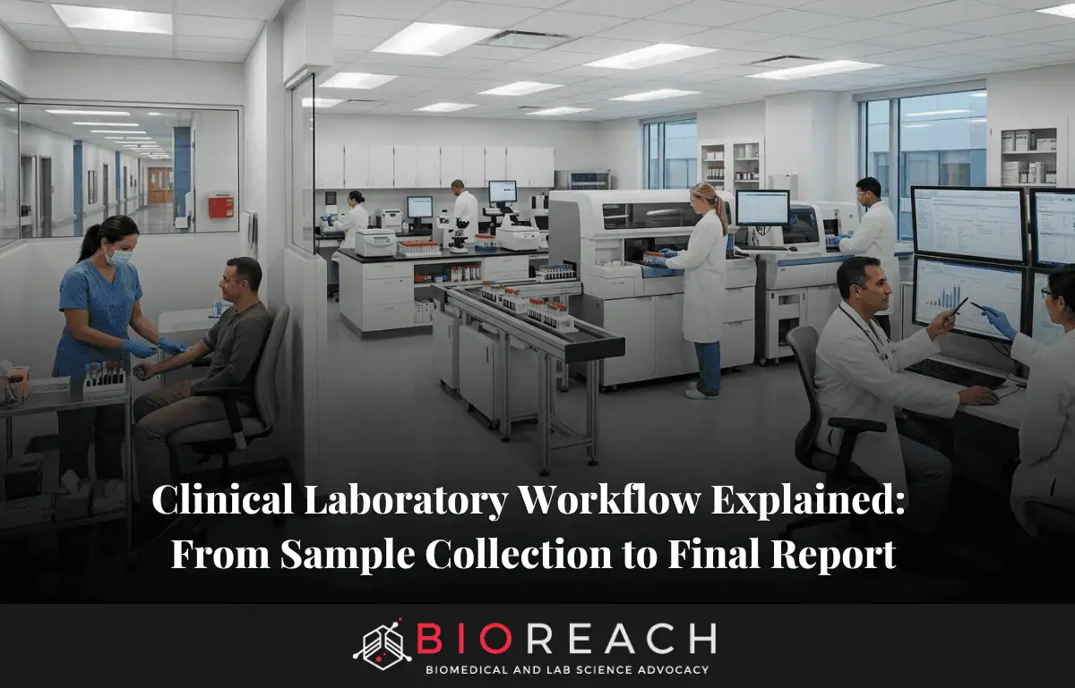 clinical laboratory workflow explained